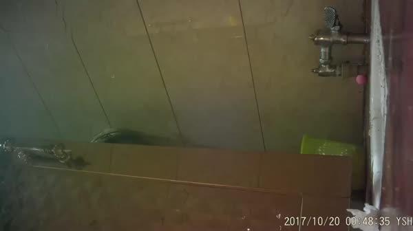 厕所偷拍-云上会所酒吧合集161